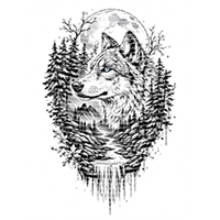 Animal Integration-DW 943